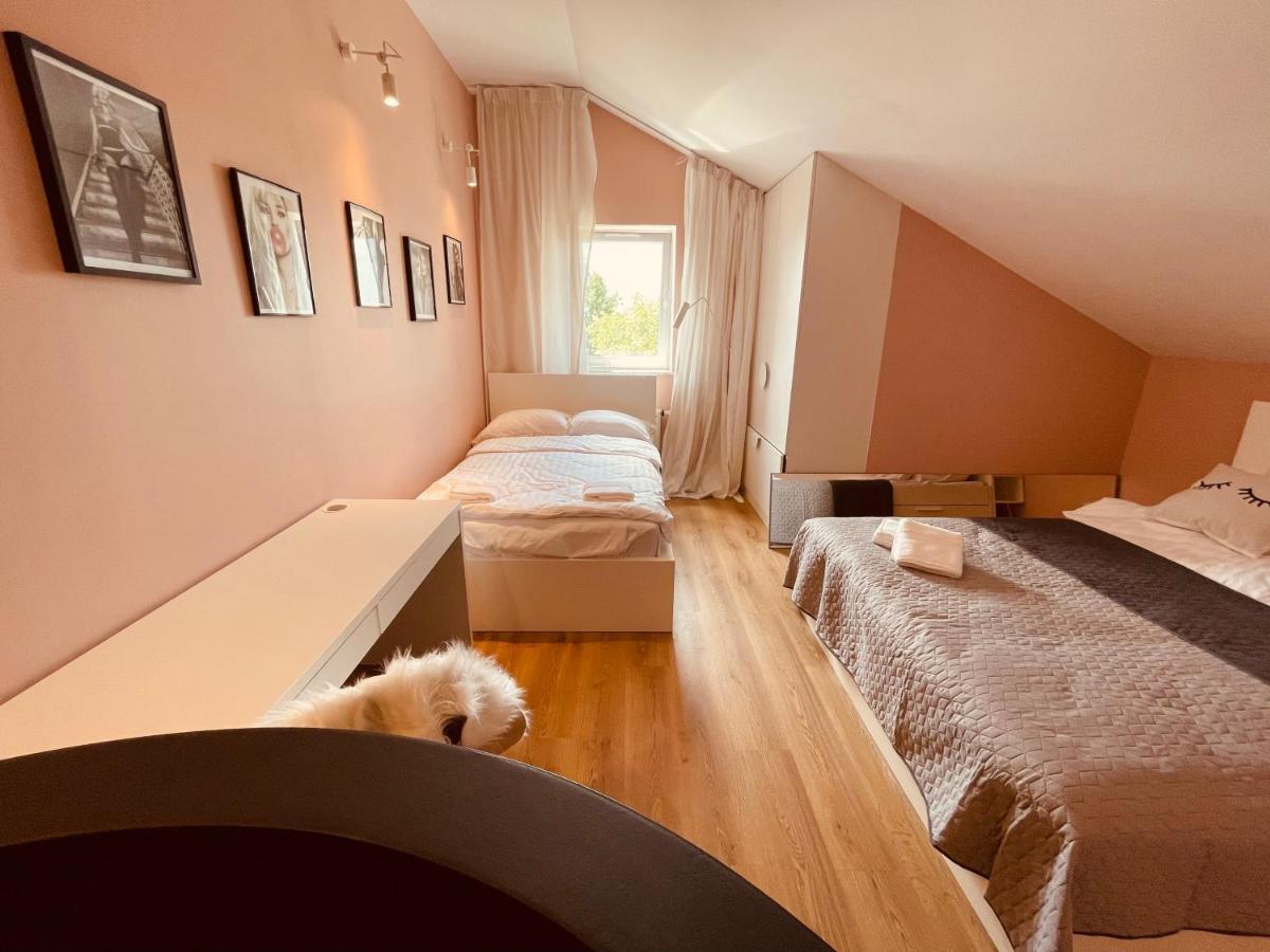 Apartamenty Ktw Penthouse Z Tarasem Katowice Extérieur photo